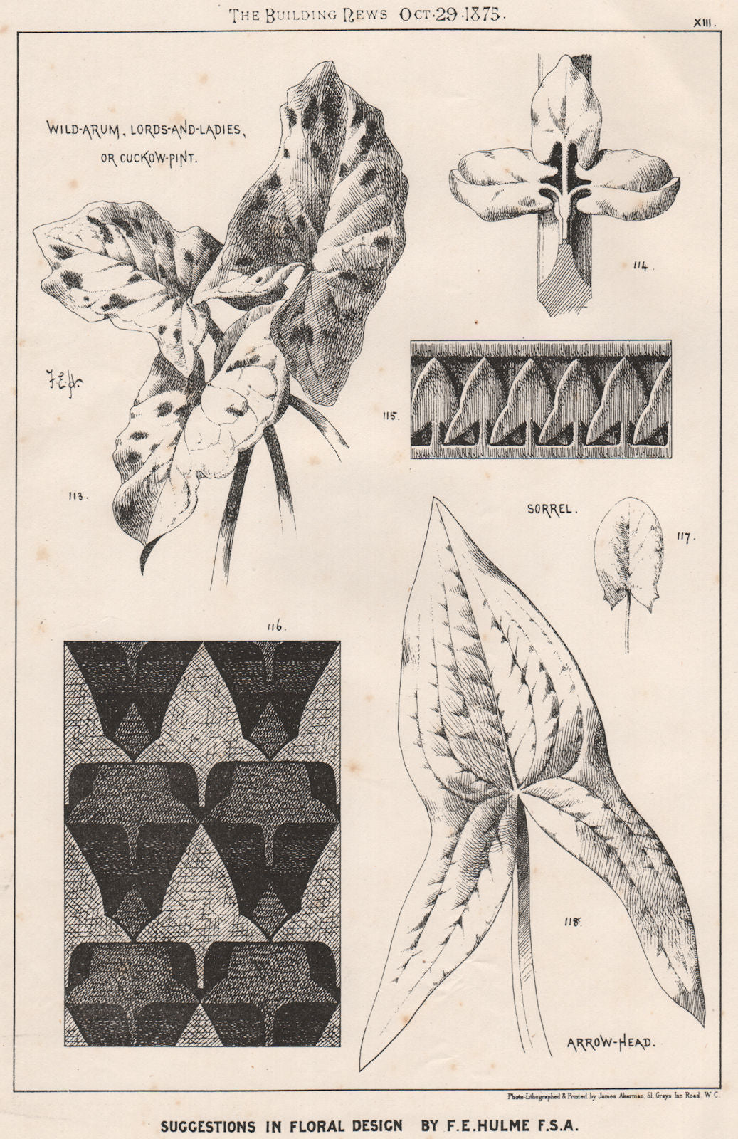 Suggestions in Floral; Design by F.E. Hulme F.S.A.. Decorative (11) 1875 print